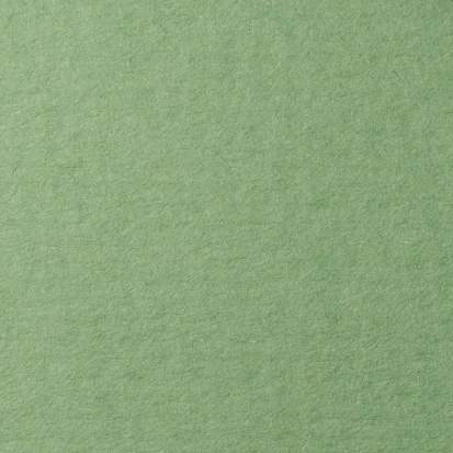 Бумага для пастели Lana зеленый сок 160г/м2 А4 1л